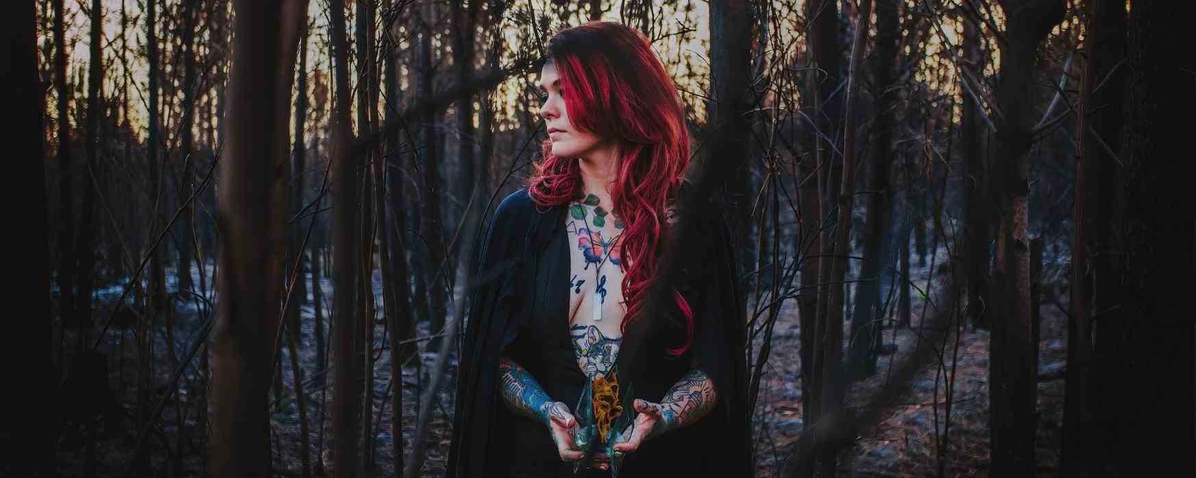 41